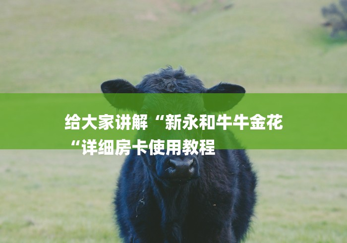 给大家讲解“新永和牛牛金花
“详细房卡使用教程 给大家讲解“新永和牛牛金花
“详细房卡使用教程