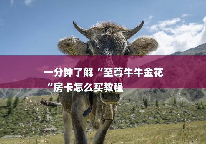 一分钟了解“至尊牛牛金花
“房卡怎么买教程