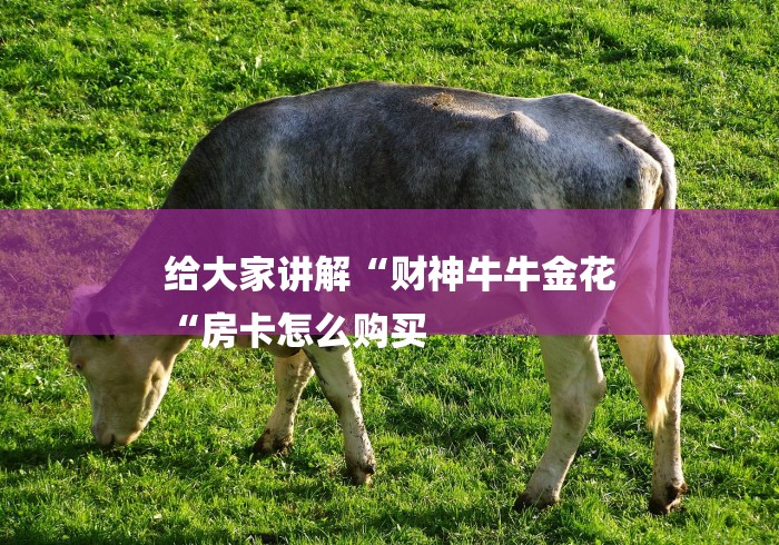 给大家讲解“财神牛牛金花
“房卡怎么购买 给大家讲解“财神牛牛金花
“房卡怎么购买