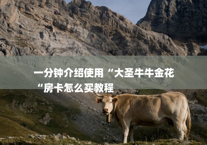 一分钟介绍使用“大圣牛牛金花
“房卡怎么买教程