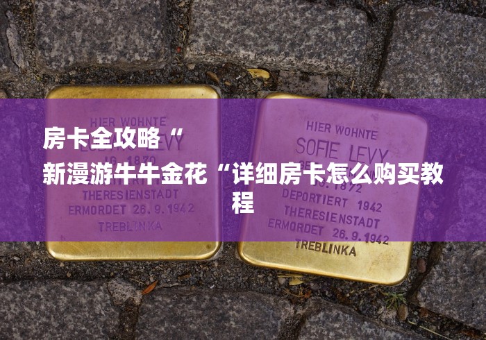 房卡全攻略“
新漫游牛牛金花“详细房卡怎么购买教程