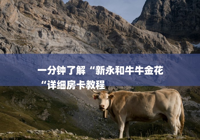 一分钟了解“新永和牛牛金花
“详细房卡教程