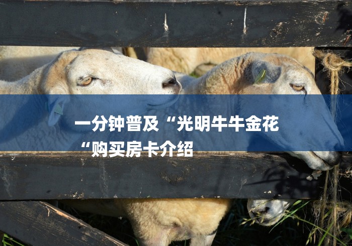 一分钟普及“光明牛牛金花
“购买房卡介绍