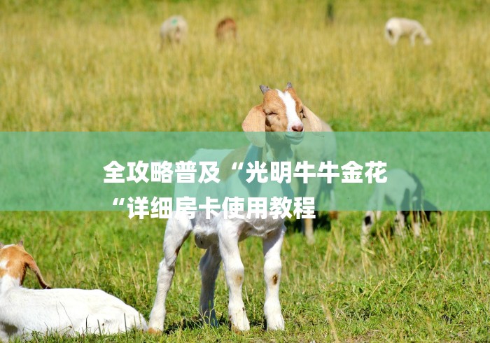 全攻略普及“光明牛牛金花
“详细房卡使用教程