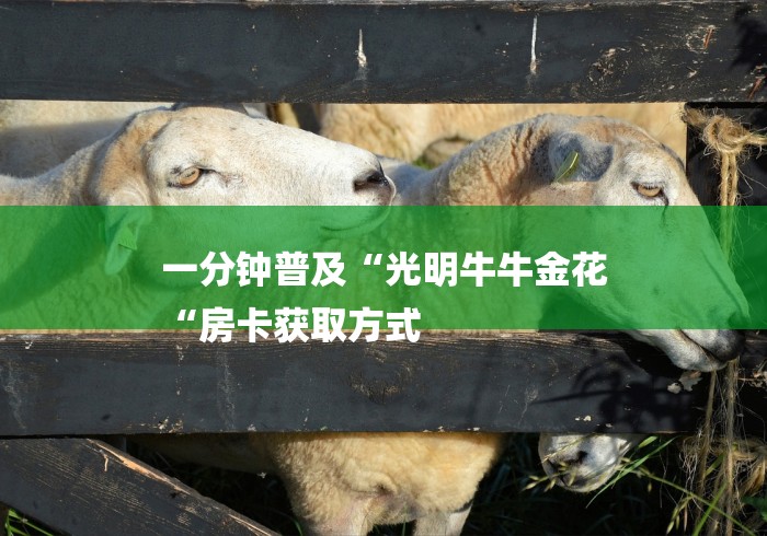 一分钟普及“光明牛牛金花
“房卡获取方式 一分钟普及“光明牛牛金花
“房卡获取方式