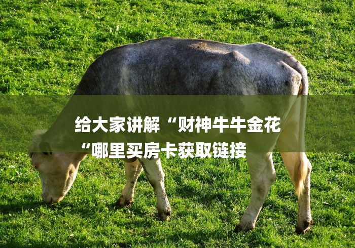 给大家讲解“财神牛牛金花
“哪里买房卡获取链接