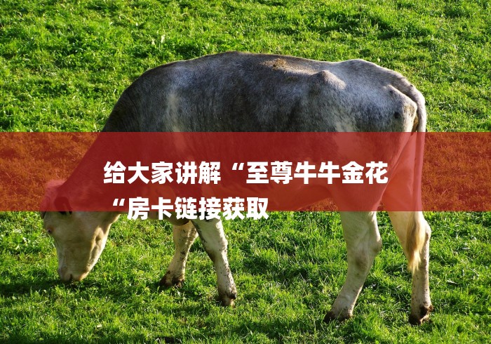 给大家讲解“至尊牛牛金花
“房卡链接获取