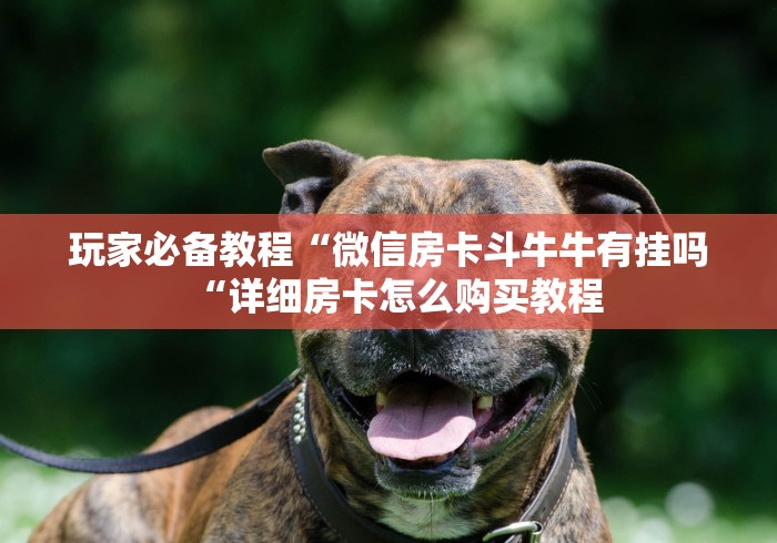 玩家必备教程“微信房卡斗牛牛有挂吗“详细房卡怎么购买教程