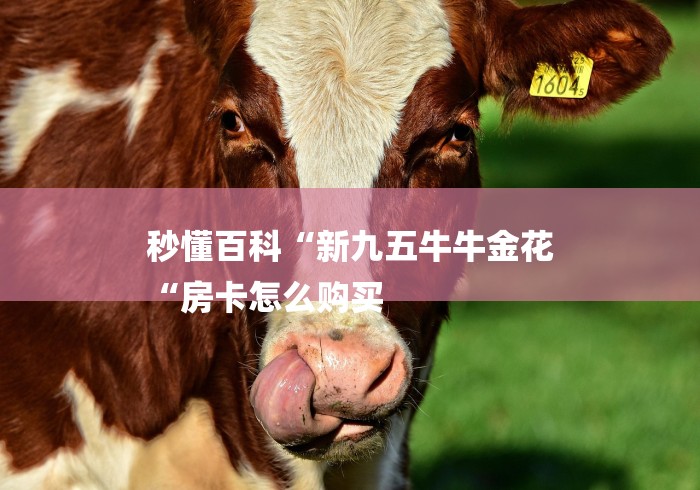 秒懂百科“新九五牛牛金花
“房卡怎么购买