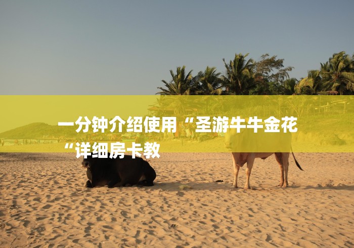 一分钟介绍使用“圣游牛牛金花
“详细房卡教