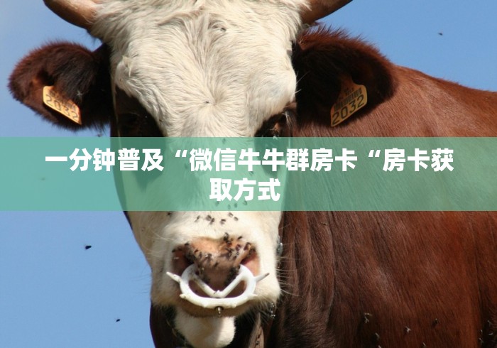 一分钟普及“微信牛牛群房卡“房卡获取方式 