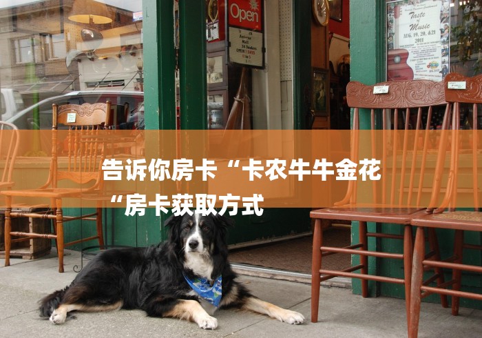 告诉你房卡“卡农牛牛金花
“房卡获取方式 