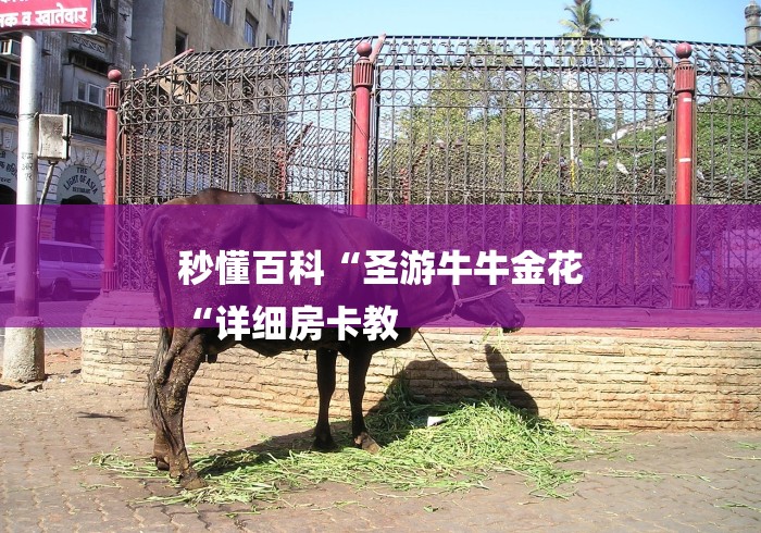 秒懂百科“圣游牛牛金花
“详细房卡教