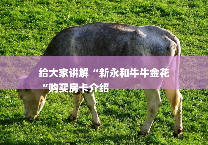 给大家讲解“新永和牛牛金花
“购买房卡介绍