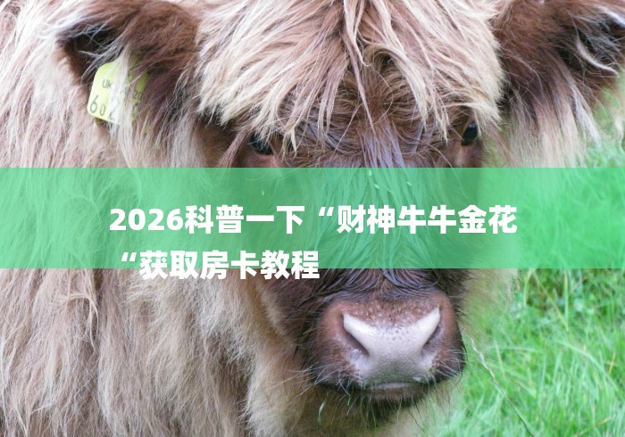 2026科普一下“财神牛牛金花
“获取房卡教程