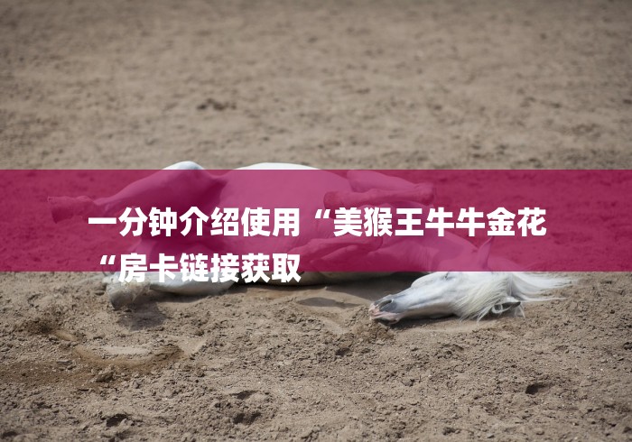 一分钟介绍使用“美猴王牛牛金花
“房卡链接获取 一分钟介绍使用“美猴王牛牛金花
“房卡链接获取