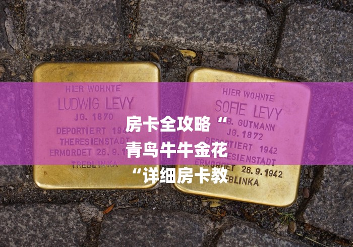 房卡全攻略“
青鸟牛牛金花
“详细房卡教