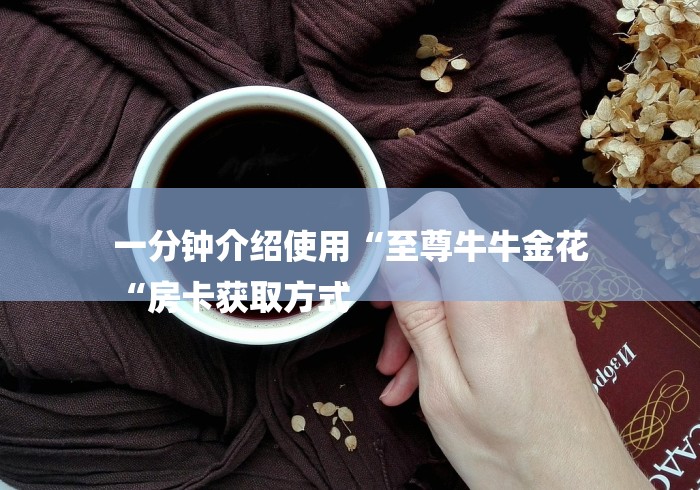 一分钟介绍使用“至尊牛牛金花
“房卡获取方式 