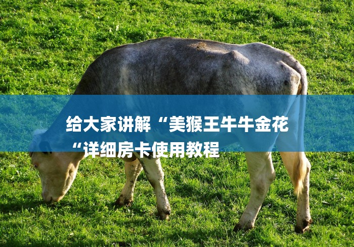 给大家讲解“美猴王牛牛金花
“详细房卡使用教程