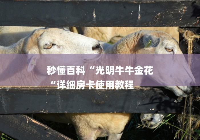 秒懂百科“光明牛牛金花
“详细房卡使用教程 秒懂百科“光明牛牛金花
“详细房卡使用教程