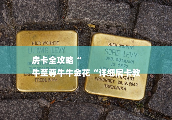 房卡全攻略“
牛至尊牛牛金花“详细房卡教 房卡全攻略“
牛至尊牛牛金花“详细房卡教