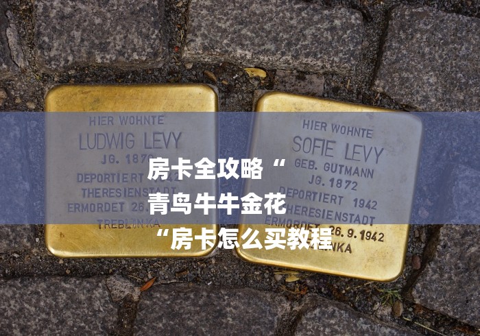 房卡全攻略“
青鸟牛牛金花
“房卡怎么买教程