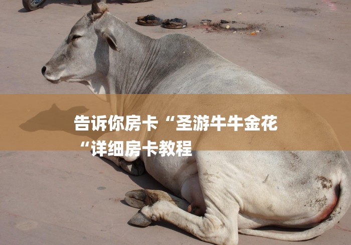 告诉你房卡“圣游牛牛金花
“详细房卡教程