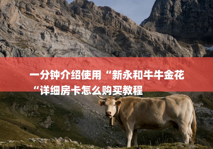 一分钟介绍使用“新永和牛牛金花
“详细房卡怎么购买教程 一分钟介绍使用“新永和牛牛金花
“详细房卡怎么购买教程