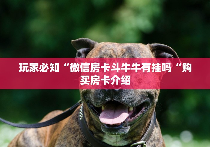 玩家必知“微信房卡斗牛牛有挂吗“购买房卡介绍