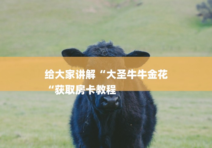 给大家讲解“大圣牛牛金花
“获取房卡教程 给大家讲解“大圣牛牛金花
“获取房卡教程