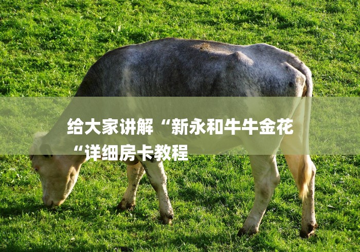 给大家讲解“新永和牛牛金花
“详细房卡教程