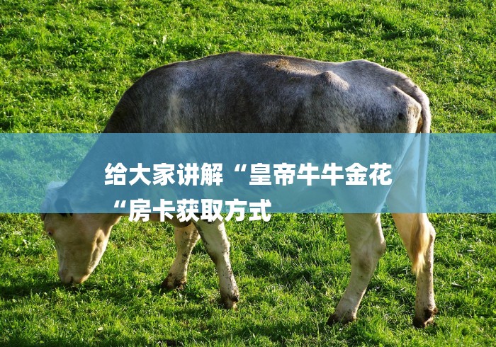 给大家讲解“皇帝牛牛金花
“房卡获取方式 给大家讲解“皇帝牛牛金花
“房卡获取方式