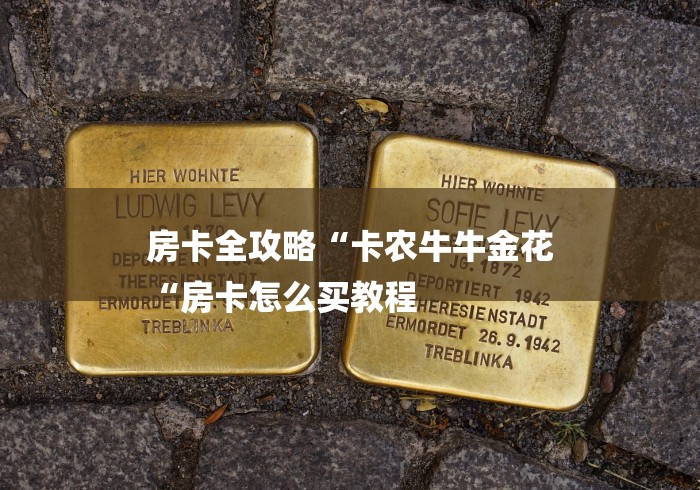 房卡全攻略“卡农牛牛金花
“房卡怎么买教程