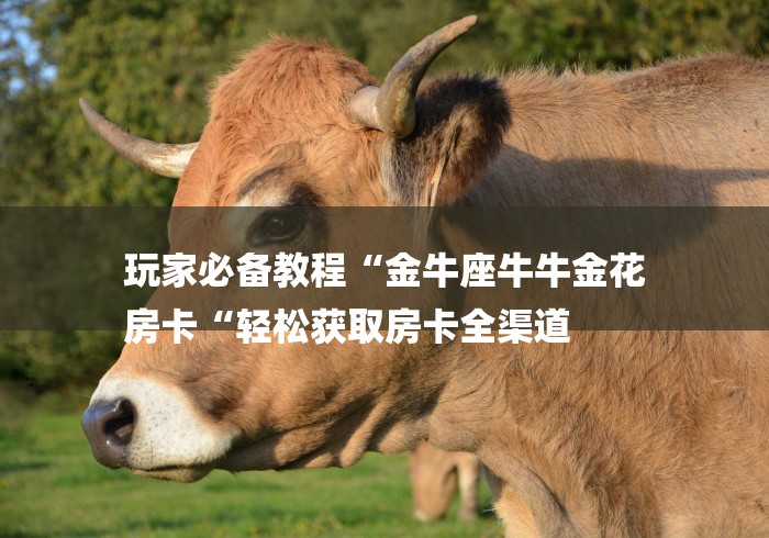 玩家必备教程“金牛座牛牛金花
房卡“轻松获取房卡全渠道