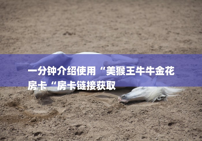 一分钟介绍使用“美猴王牛牛金花
房卡“房卡链接获取