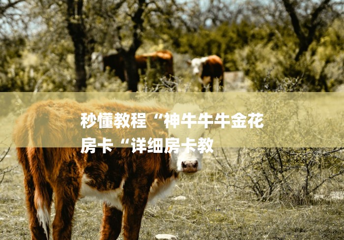 秒懂教程“神牛牛牛金花
房卡“详细房卡教