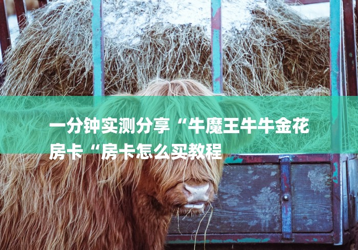 一分钟实测分享“牛魔王牛牛金花
房卡“房卡怎么买教程