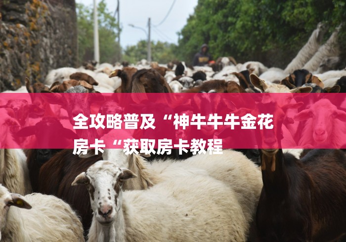全攻略普及“神牛牛牛金花
房卡“获取房卡教程 全攻略普及“神牛牛牛金花
房卡“获取房卡教程