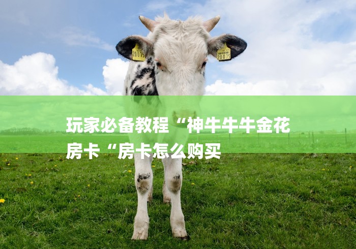 玩家必备教程“神牛牛牛金花
房卡“房卡怎么购买