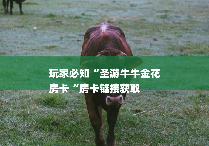 玩家必知“圣游牛牛金花
房卡“房卡链接获取