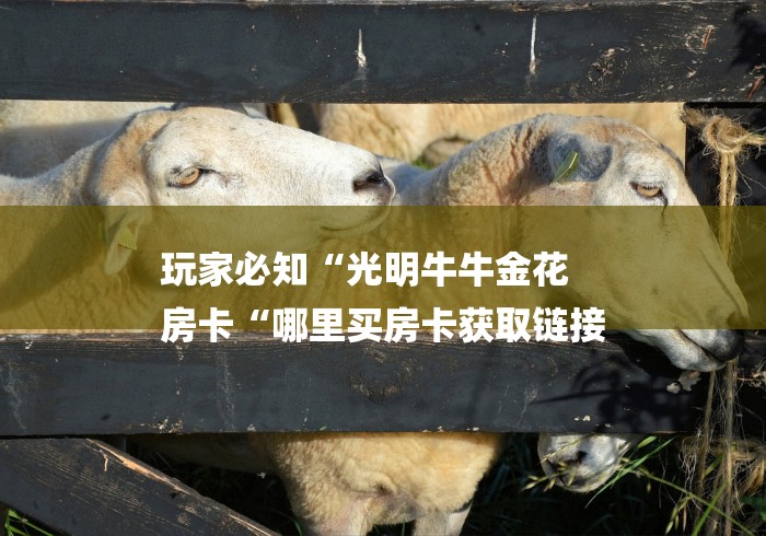 玩家必知“光明牛牛金花
房卡“哪里买房卡获取链接