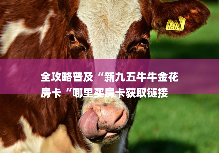 全攻略普及“新九五牛牛金花
房卡“哪里买房卡获取链接