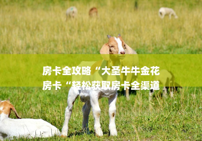 房卡全攻略“大圣牛牛金花
房卡“轻松获取房卡全渠道