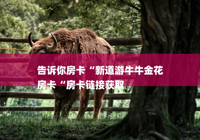 告诉你房卡“新道游牛牛金花
房卡“房卡链接获取 告诉你房卡“新道游牛牛金花
房卡“房卡链接获取