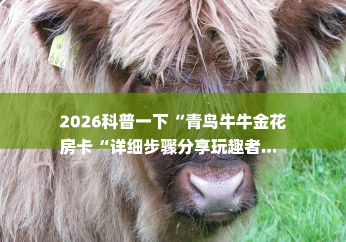 2026科普一下“青鸟牛牛金花
房卡“详细步骤分享玩趣者...