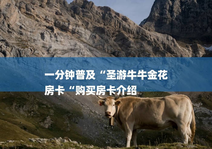 一分钟普及“圣游牛牛金花
房卡“购买房卡介绍 一分钟普及“圣游牛牛金花
房卡“购买房卡介绍