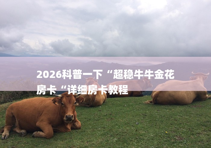 2026科普一下“超稳牛牛金花
房卡“详细房卡教程