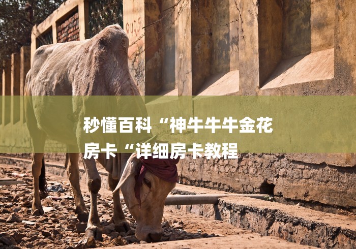 秒懂百科“神牛牛牛金花
房卡“详细房卡教程