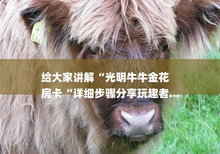 给大家讲解“光明牛牛金花
房卡“详细步骤分享玩趣者... 给大家讲解“光明牛牛金花
房卡“详细步骤分享玩趣者...