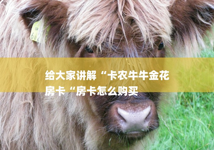 给大家讲解“卡农牛牛金花
房卡“房卡怎么购买 给大家讲解“卡农牛牛金花
房卡“房卡怎么购买